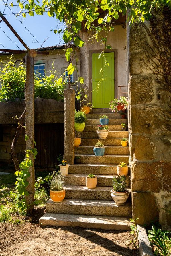 Villa Casas Casal De Nino Celorico De Basto Exterior foto